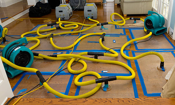Professional Basement Flood Cleanup technician working in Rickman, TN